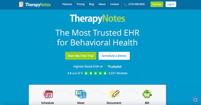 TherapyNotes home page